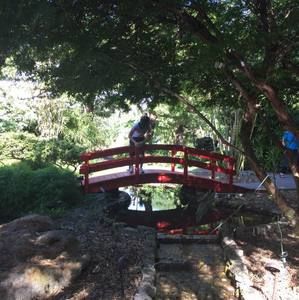 Meet your Posher, Diego